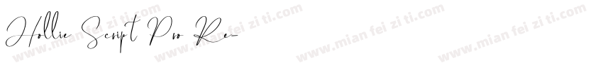 Hollie Script Pro Re字体转换